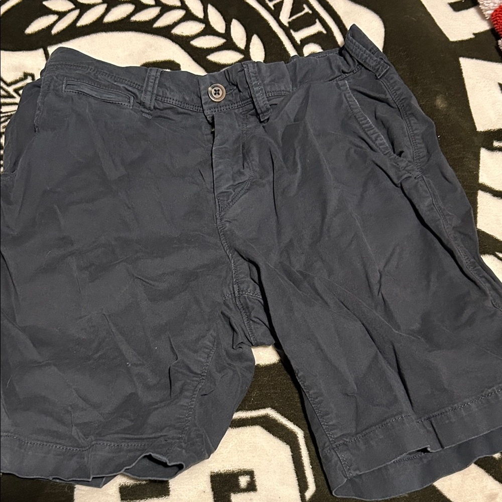 American Eagle Outfitters Dark Blue Flat Front Shorts